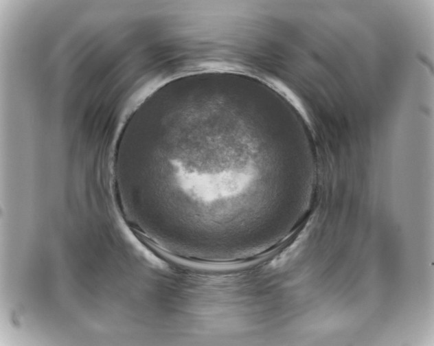X0000096421381200801241308