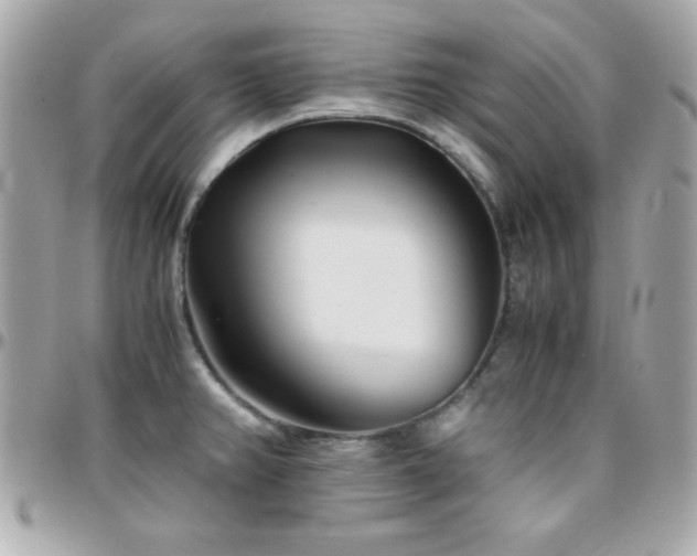 X0000096421382200801241308