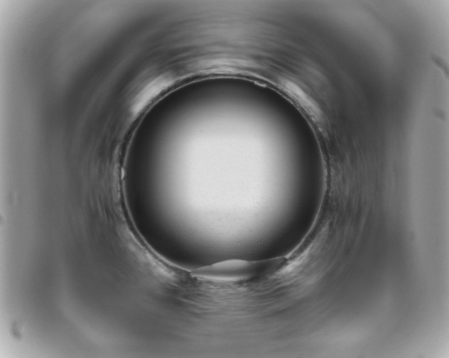 X0000096421384200801241308