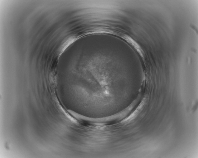 X0000096421385200801241307