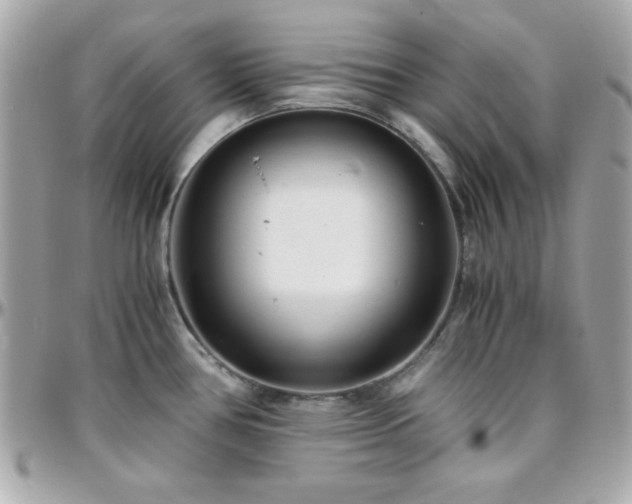 X0000096421386200801241307
