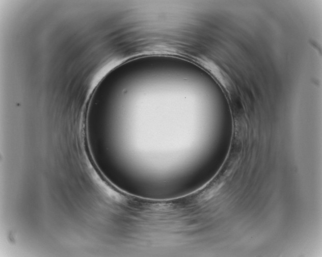 X0000096421387200801241307