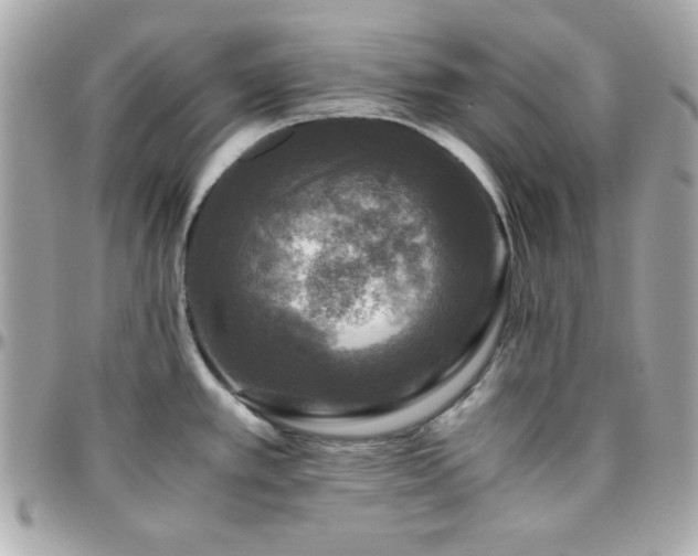 X0000096421389200801241307