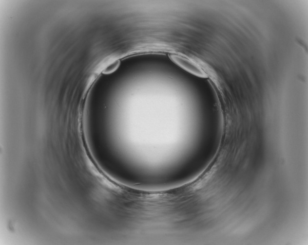 X0000096421390200801241307