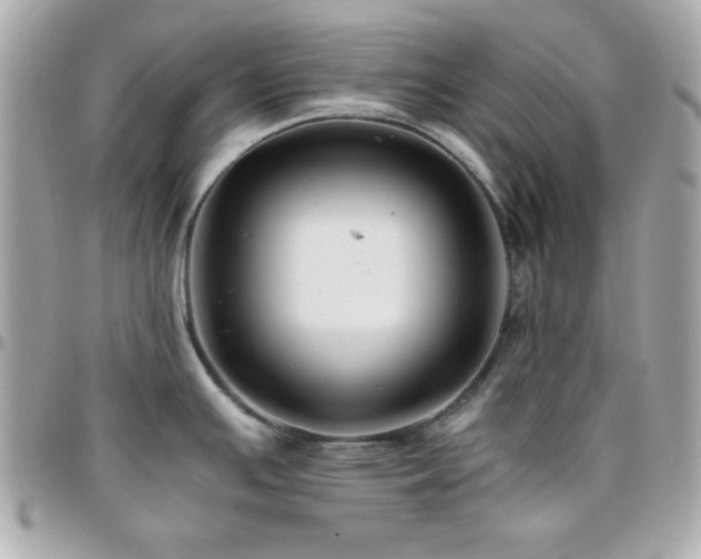 X0000096421391200801241307