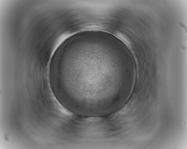 X0000096421392200801241307