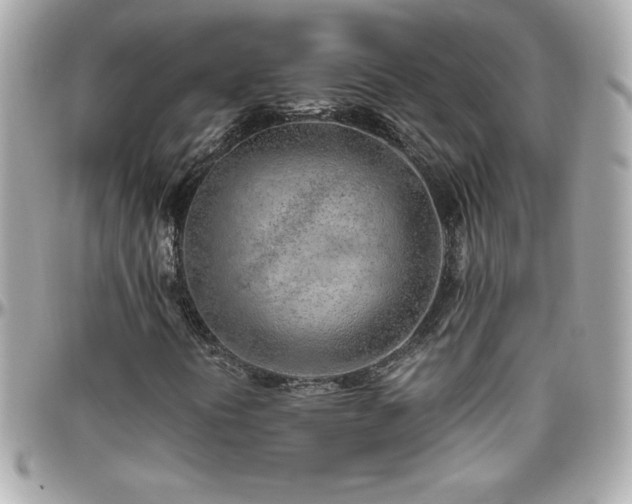 X0000096421394200801241307