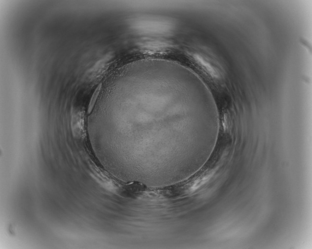 X0000096421396200801241307