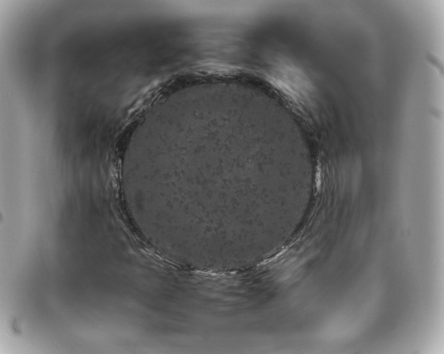 X0000096421397200801241307