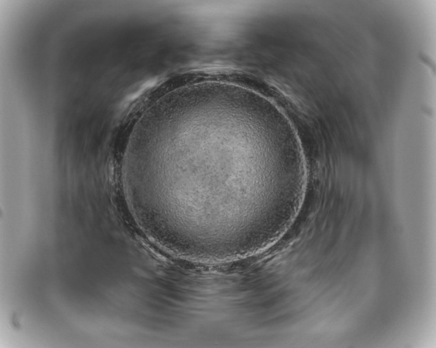 X0000096421398200801241307