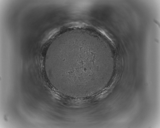 X0000096421399200801241307