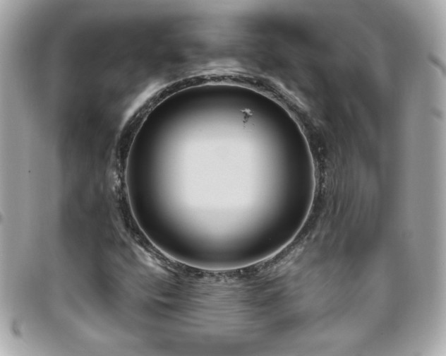 X0000096421400200801241307