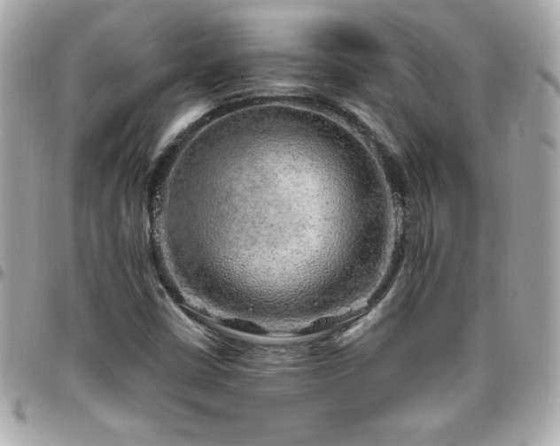 X0000096421402200801241307