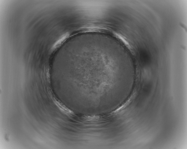 X0000096421403200801241307