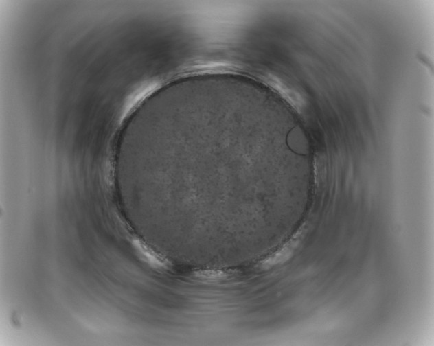 X0000096421405200801241307