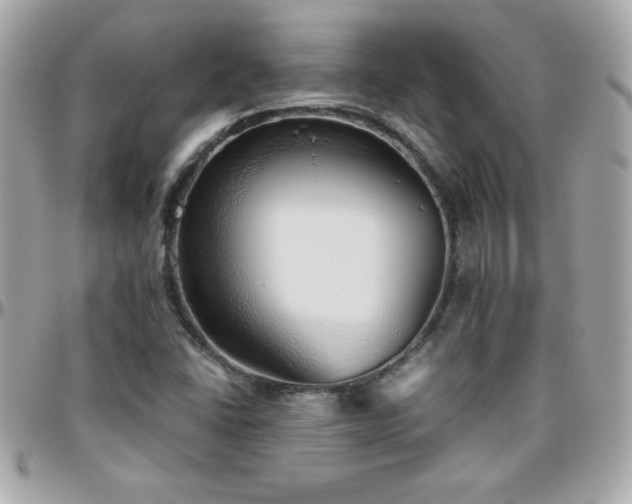 X0000096421406200801241307