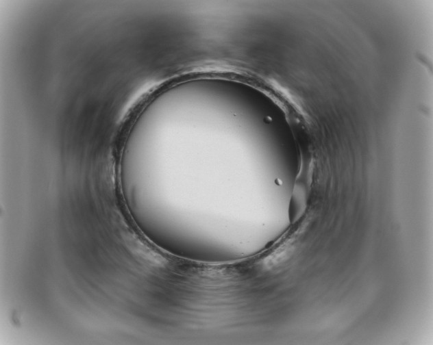 X0000096421408200801241307