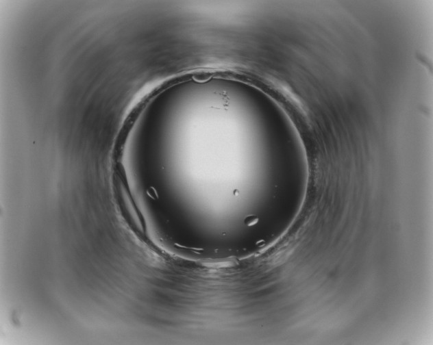 X0000096421412200801241307
