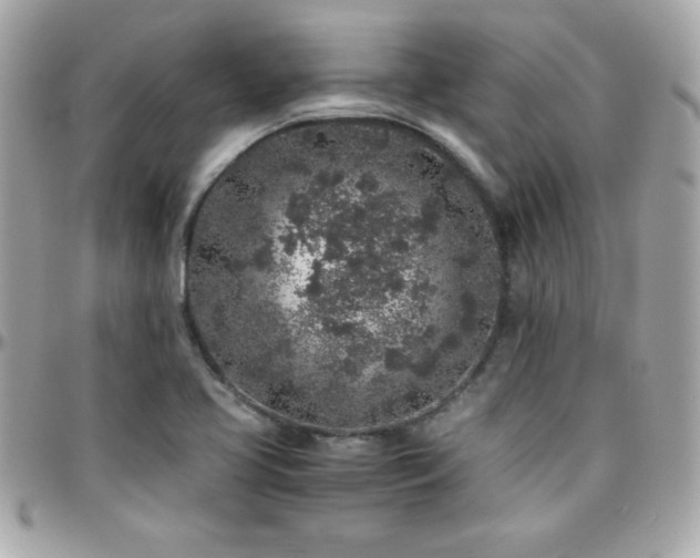 X0000096421413200801241307