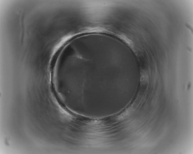 X0000096421414200801241307