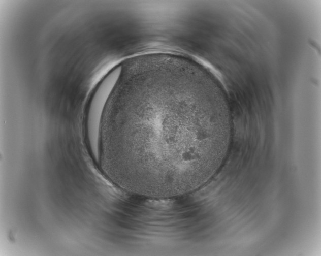 X0000096421415200801241307
