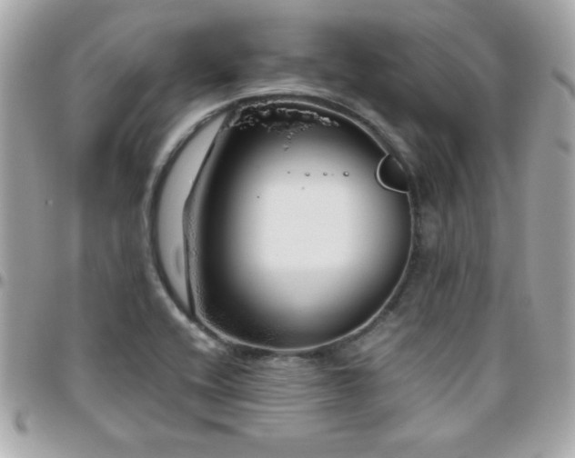 X0000096421416200801241307