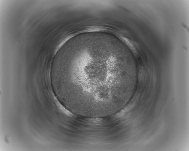 X0000096421417200801241307