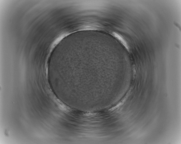 X0000096421419200801241307
