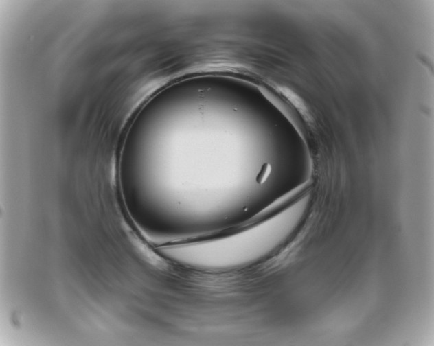 X0000096421420200801241307