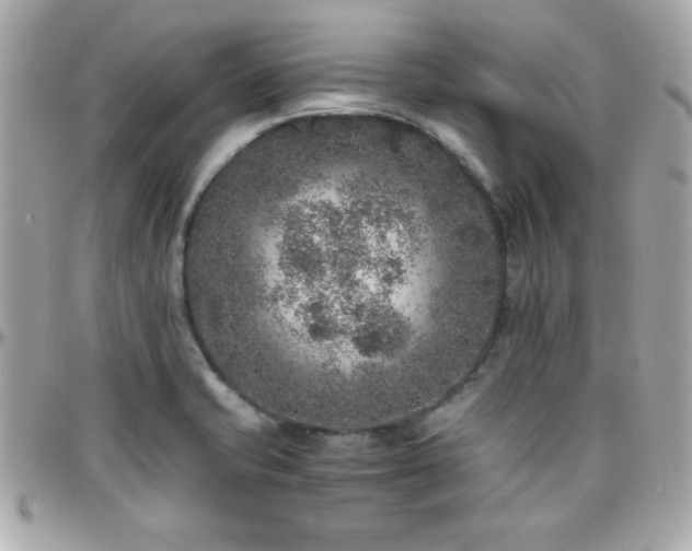 X0000096421421200801241307