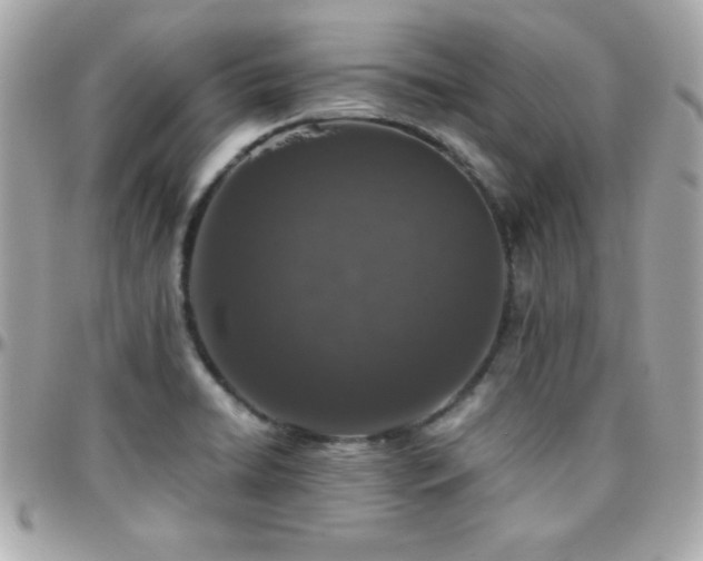 X0000096421422200801241307