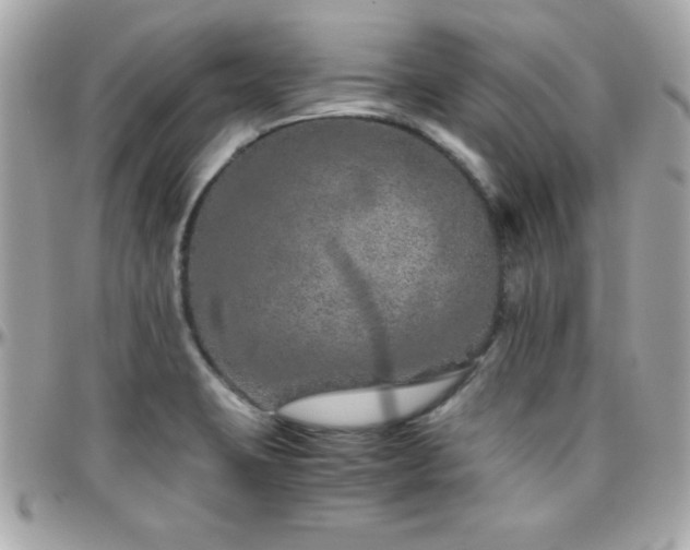 X0000096421423200801241307