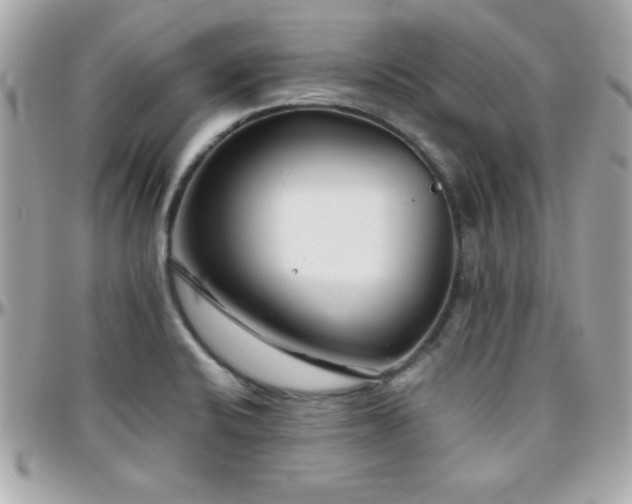 X0000096421424200801241307