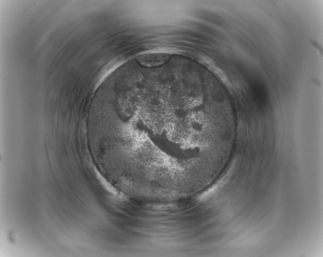 X0000096421425200801241307