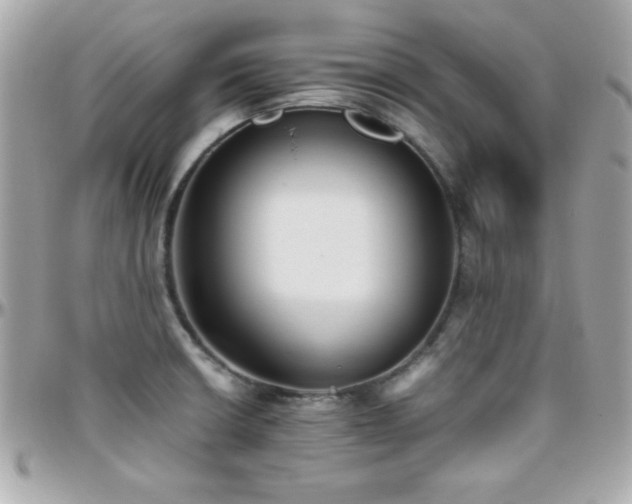 X0000096421426200801241307