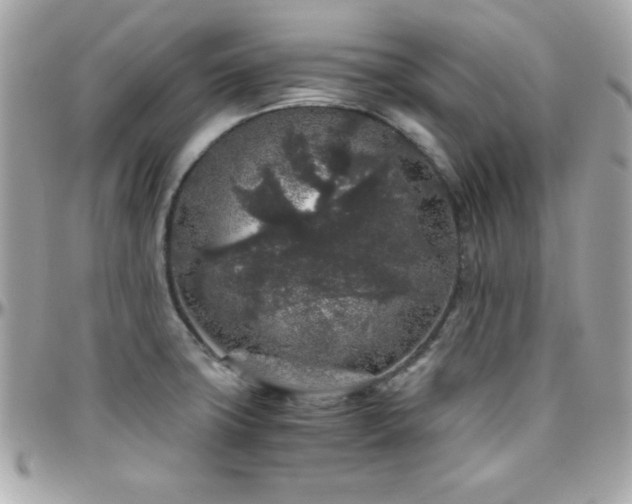 X0000096421427200801241307