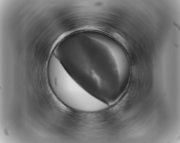 X0000096421428200801241307