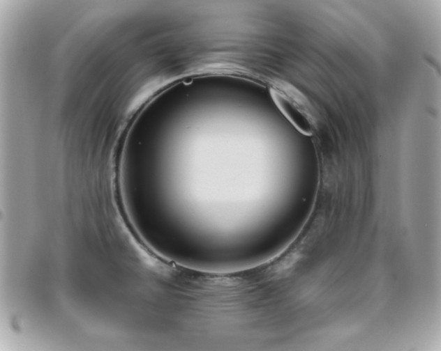 X0000096421430200801241307