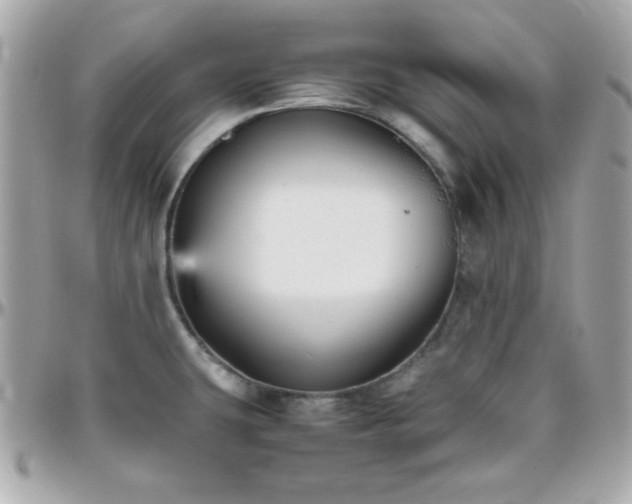 X0000096421431200801241307