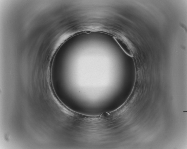X0000096421432200801241307