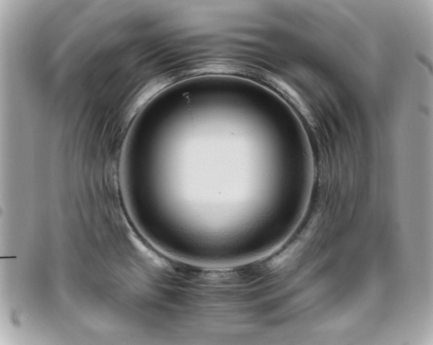 X0000096421433200801241307