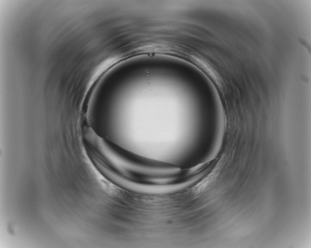 X0000096421434200801241307