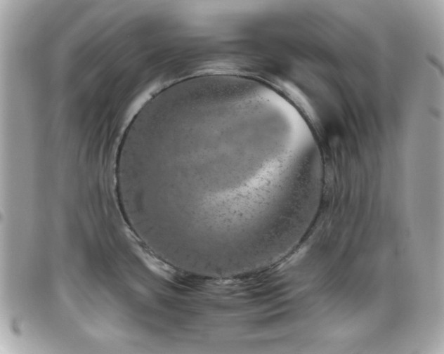 X0000096421435200801241307