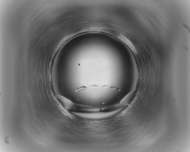 X0000096421436200801241307