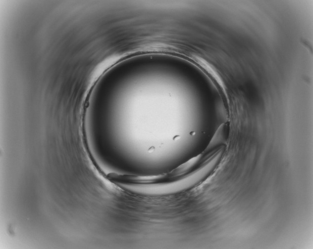 X0000096421437200801241307