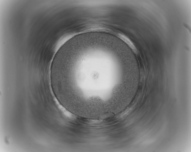 X0000096421439200801241307