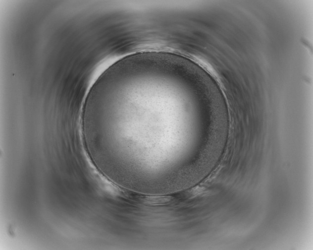 X0000096421440200801241307
