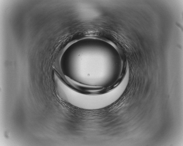 X0000096421441200801241307