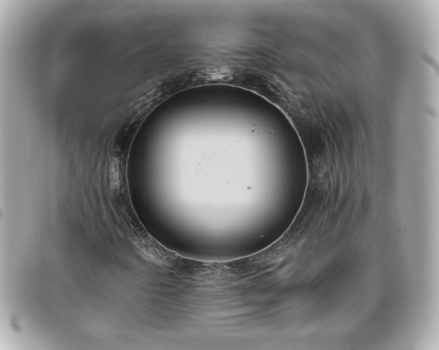 X0000096421442200801241307
