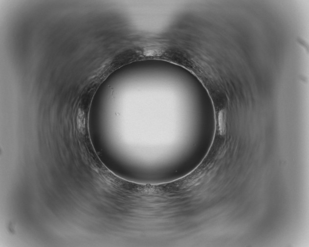 X0000096421443200801241307